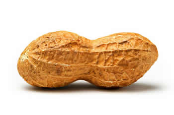 pinda.jpg
